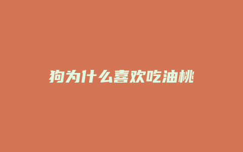 狗为什么喜欢吃油桃