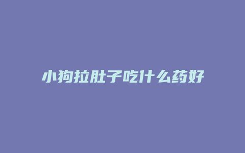 小狗拉肚子吃什么药好