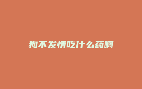 狗不发情吃什么药啊