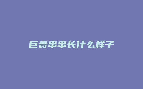 巨贵串串长什么样子