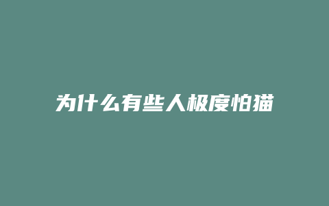 为什么有些人极度怕猫