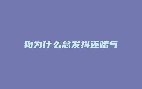 狗为什么总发抖还喘气