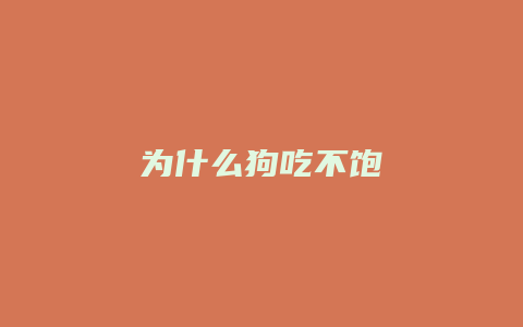 为什么狗吃不饱