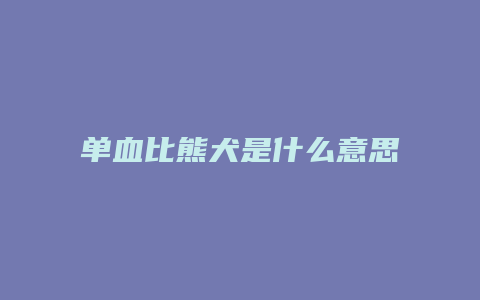 单血比熊犬是什么意思