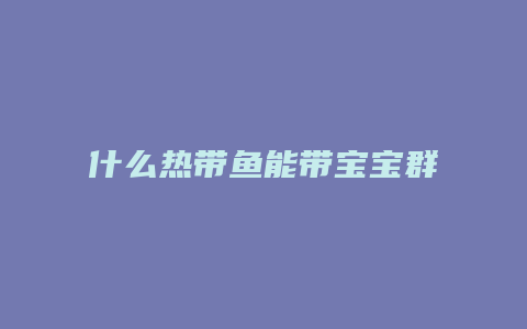 什么热带鱼能带宝宝群游