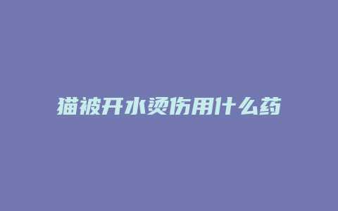 猫被开水烫伤用什么药