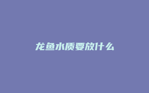 龙鱼水质要放什么