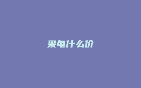 果龟什么价