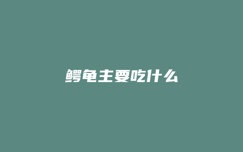 鳄龟主要吃什么