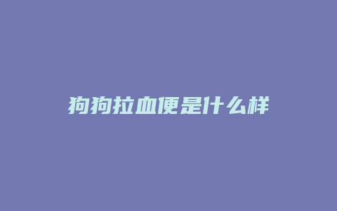 狗狗拉血便是什么样