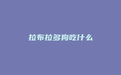 拉布拉多狗吃什么