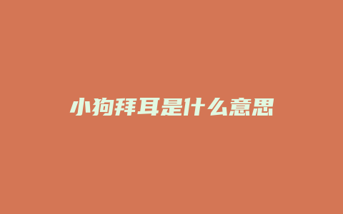 小狗拜耳是什么意思