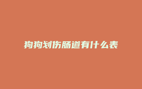 狗狗划伤肠道有什么表现