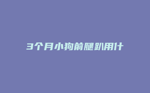 3个月小狗前腿趴用什么药补