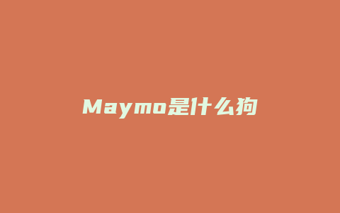 Maymo是什么狗