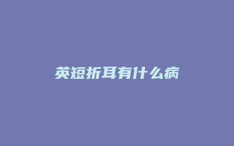 英短折耳有什么病