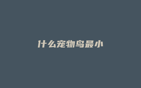 什么宠物鸟最小