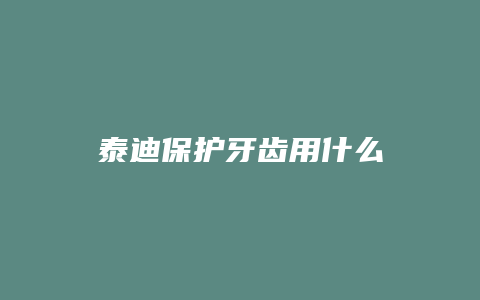 泰迪保护牙齿用什么