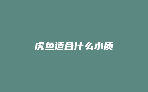 虎鱼适合什么水质