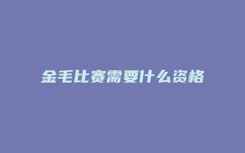 金毛比赛需要什么资格