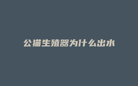 公猫生殖器为什么出水