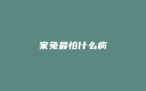 家兔最怕什么病