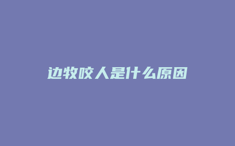 边牧咬人是什么原因