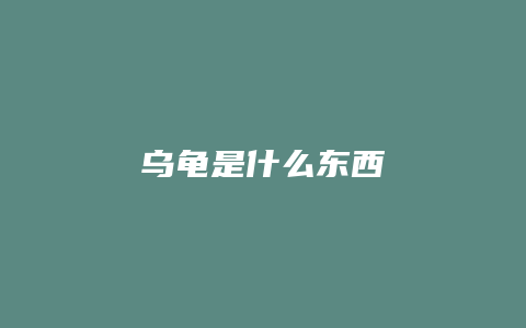 乌龟是什么东西