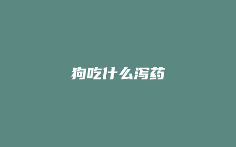 狗吃什么泻药