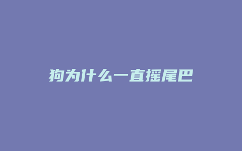 狗为什么一直摇尾巴