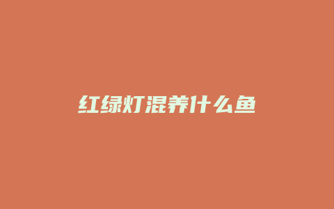 红绿灯混养什么鱼