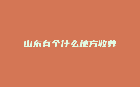 山东有个什么地方收养