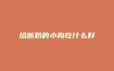 给断奶的小狗吃什么好