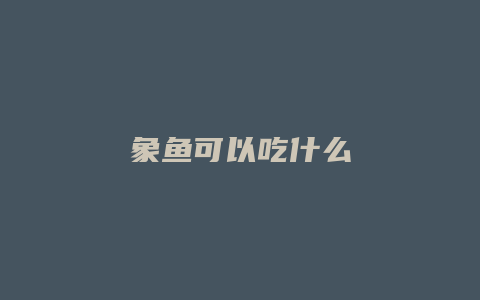 象鱼可以吃什么