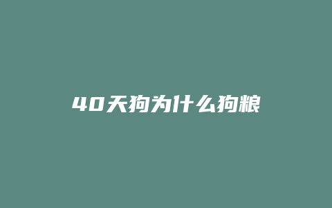 40天狗为什么狗粮