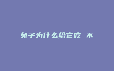 兔子为什么给它吃 不吃