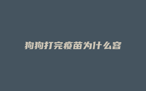 狗狗打完疫苗为什么容易生病