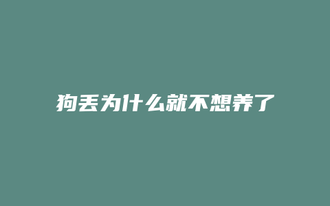 狗丢为什么就不想养了