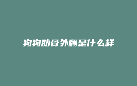 狗狗肋骨外翻是什么样