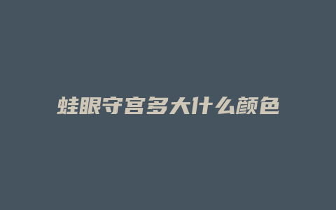 蛙眼守宫多大什么颜色