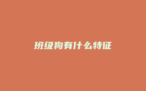 班级狗有什么特征