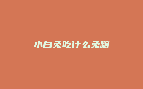 小白兔吃什么兔粮