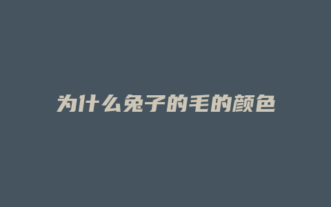 为什么兔子的毛的颜色变浅了