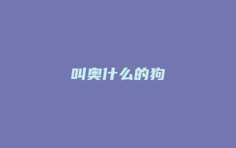 叫奥什么的狗