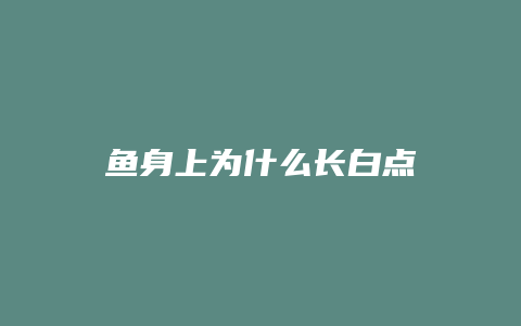 鱼身上为什么长白点