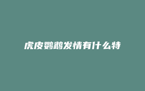 虎皮鹦鹉发情有什么特征