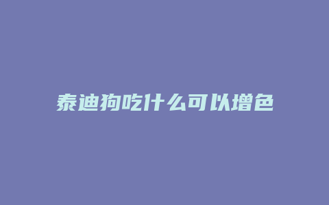 泰迪狗吃什么可以增色