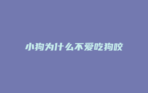 小狗为什么不爱吃狗咬