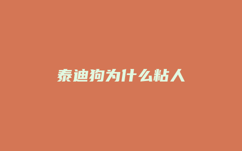 泰迪狗为什么粘人