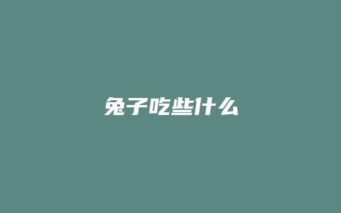 兔子吃些什么